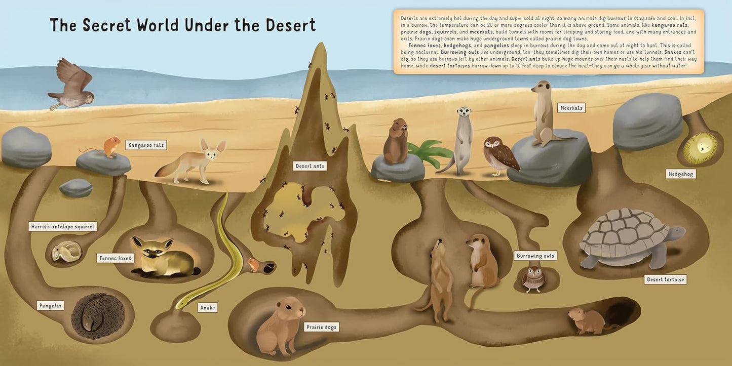 Discovering the Amazing World of the Desert