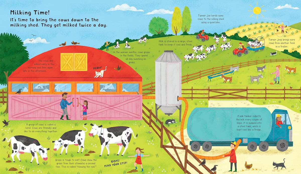 Lift the Flap: Discovery! Farm