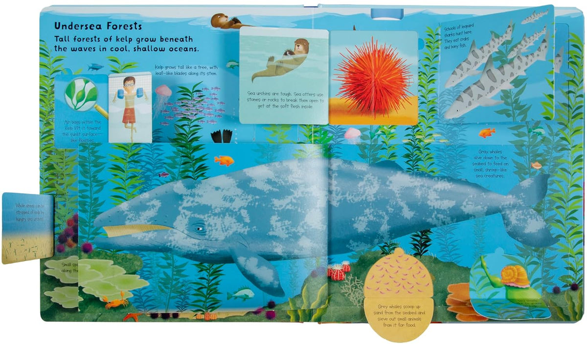Lift the Flap: Discovery! Oceans