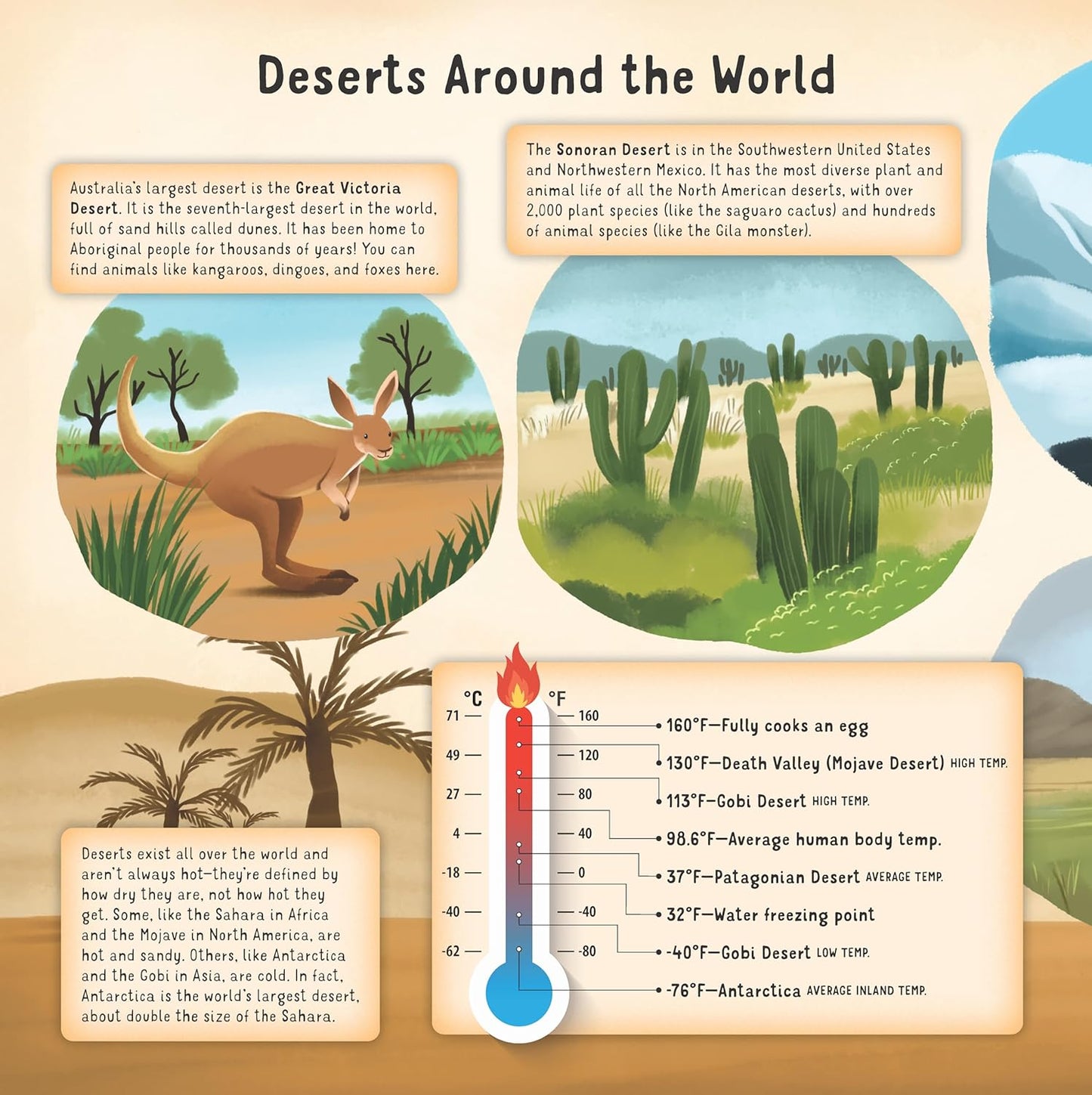 Discovering the Amazing World of the Desert