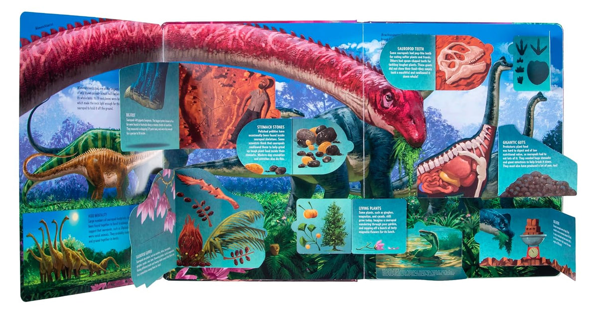Lift the Flap: Learning+ Dinosaurs