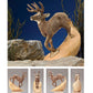 Carving Deer