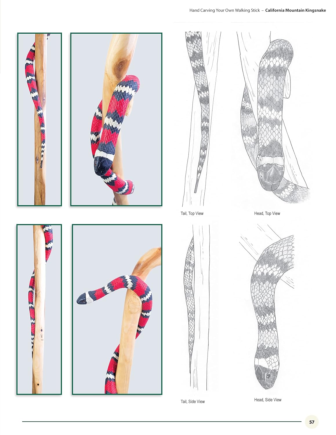 Hand Carving Your Own Walking Stick