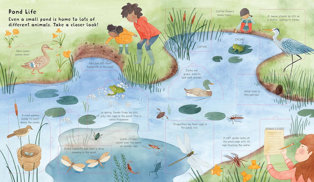 Lift the Flap: Discovery! Nature
