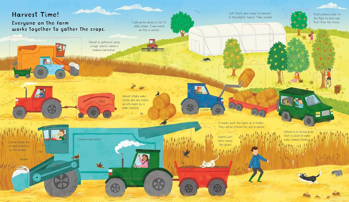 Lift the Flap: Discovery! Farm