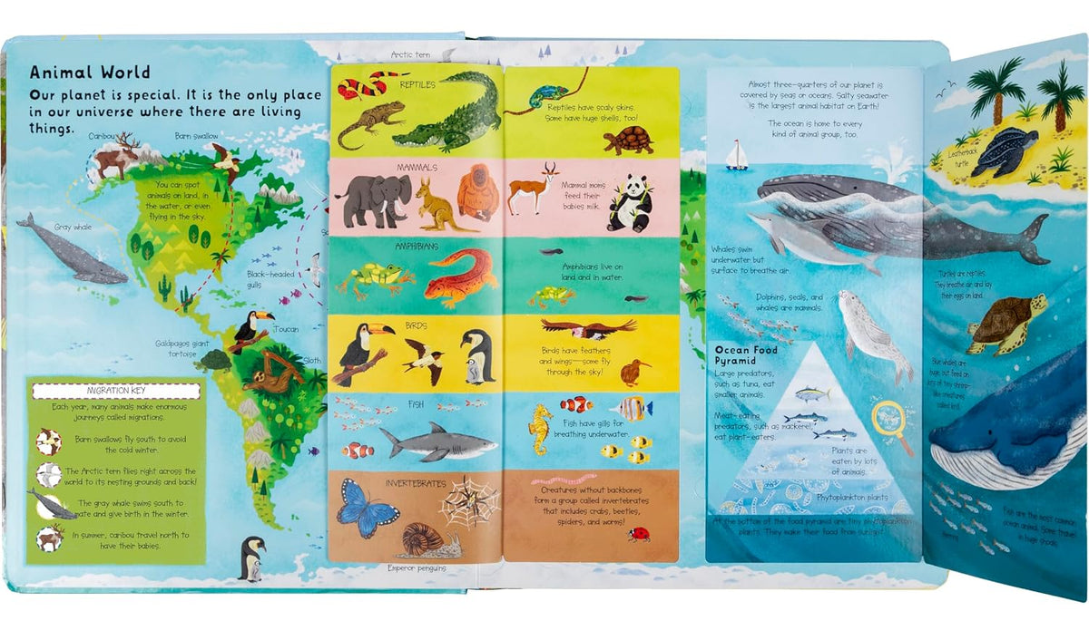 Lift the Flap: Discovery! Animals