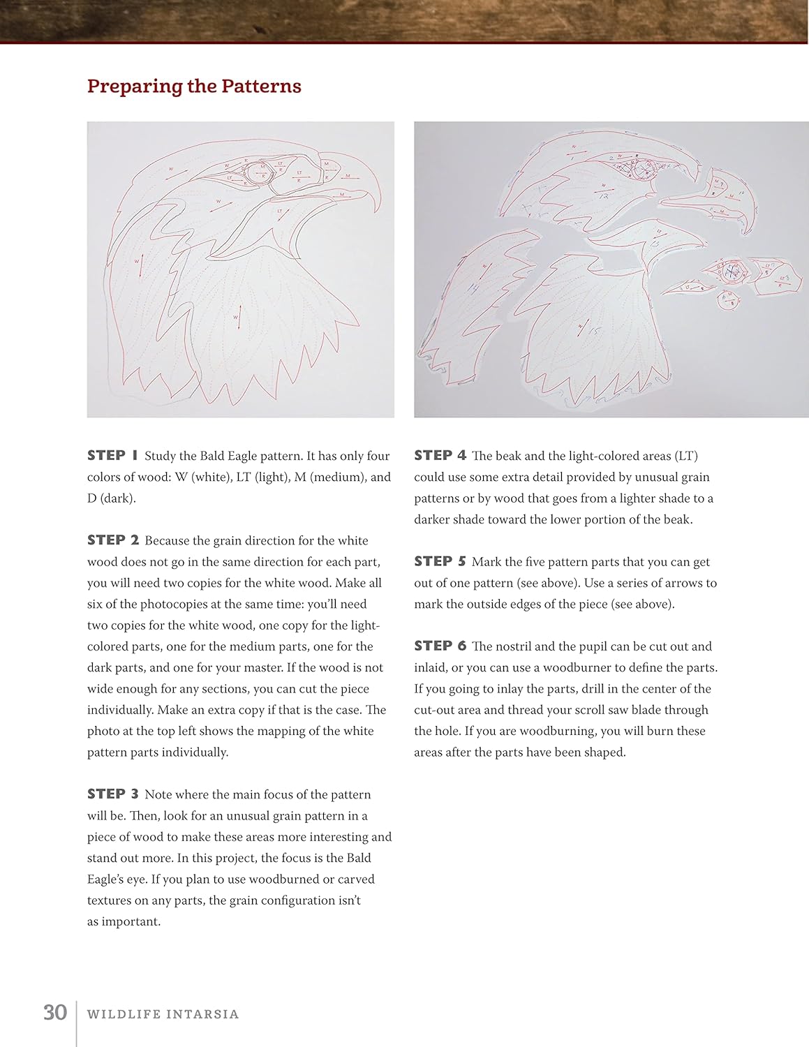 Wildlife Intarsia Woodworking, 2nd Edition