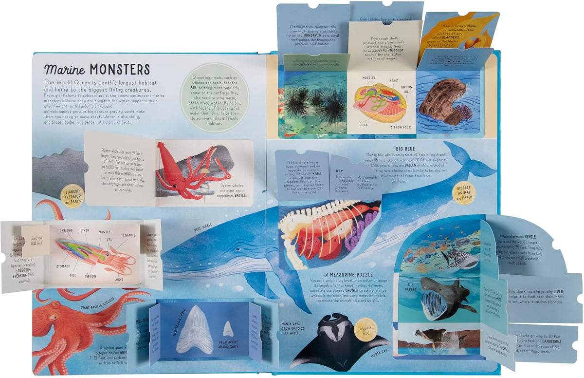 Ultimate Lift the Flap Encyclopedia of Oceans