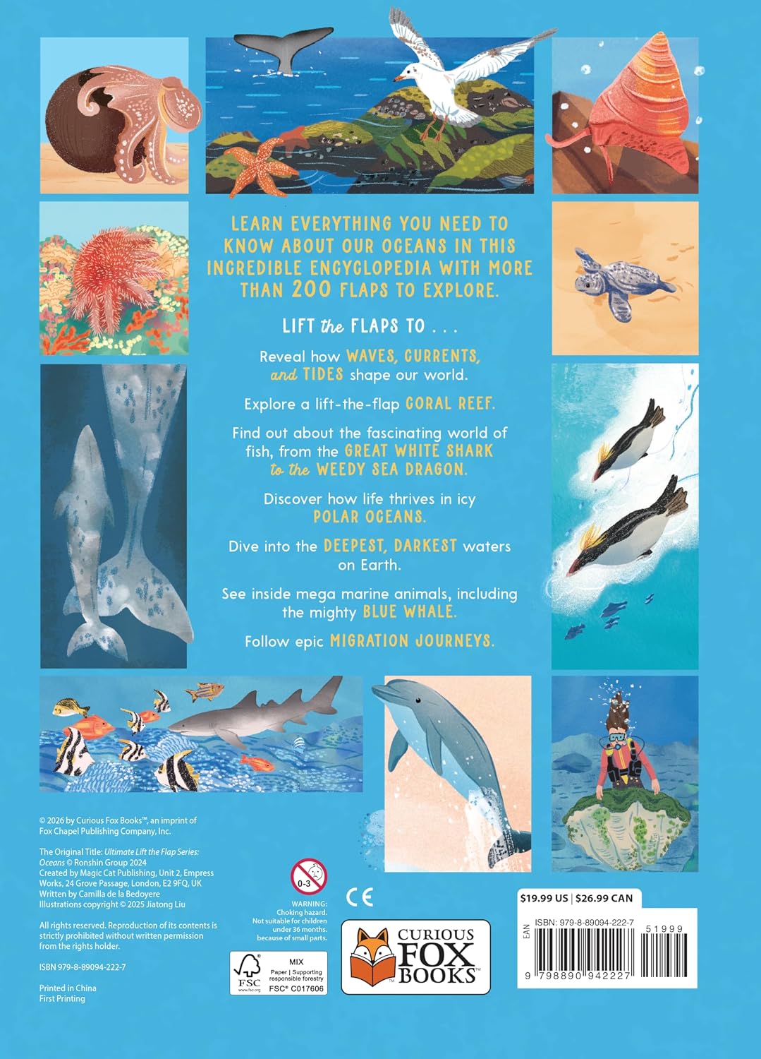 Ultimate Lift the Flap Encyclopedia of Oceans