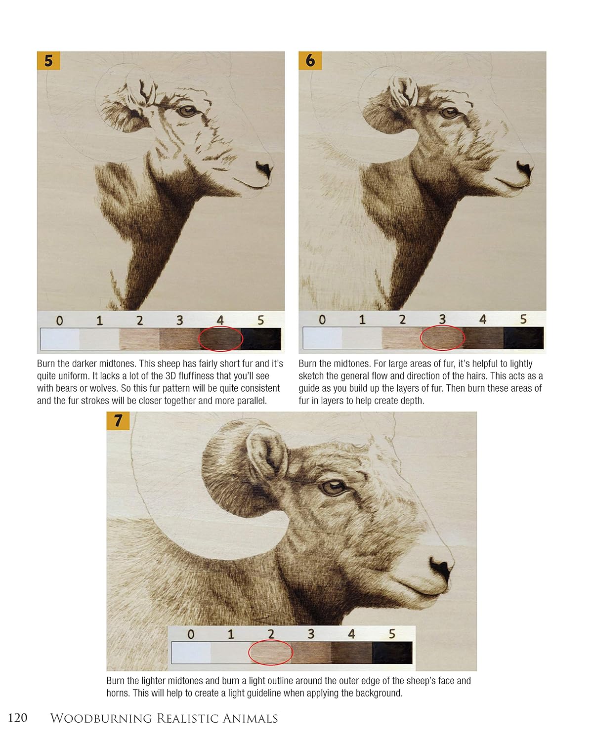 Woodburning Realistic Animals