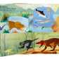 Lift the Flap: Discovery! Dinosaurs