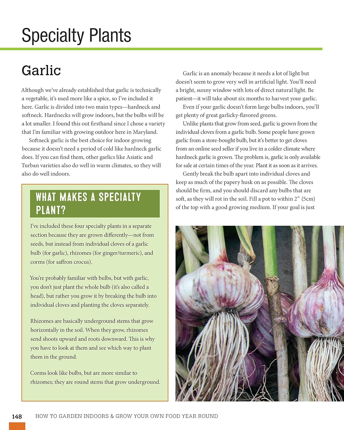 How to Garden Indoors & Grow Your Own Food Year-Round