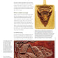 Relief Carving Wood Spirits, Revised Edition