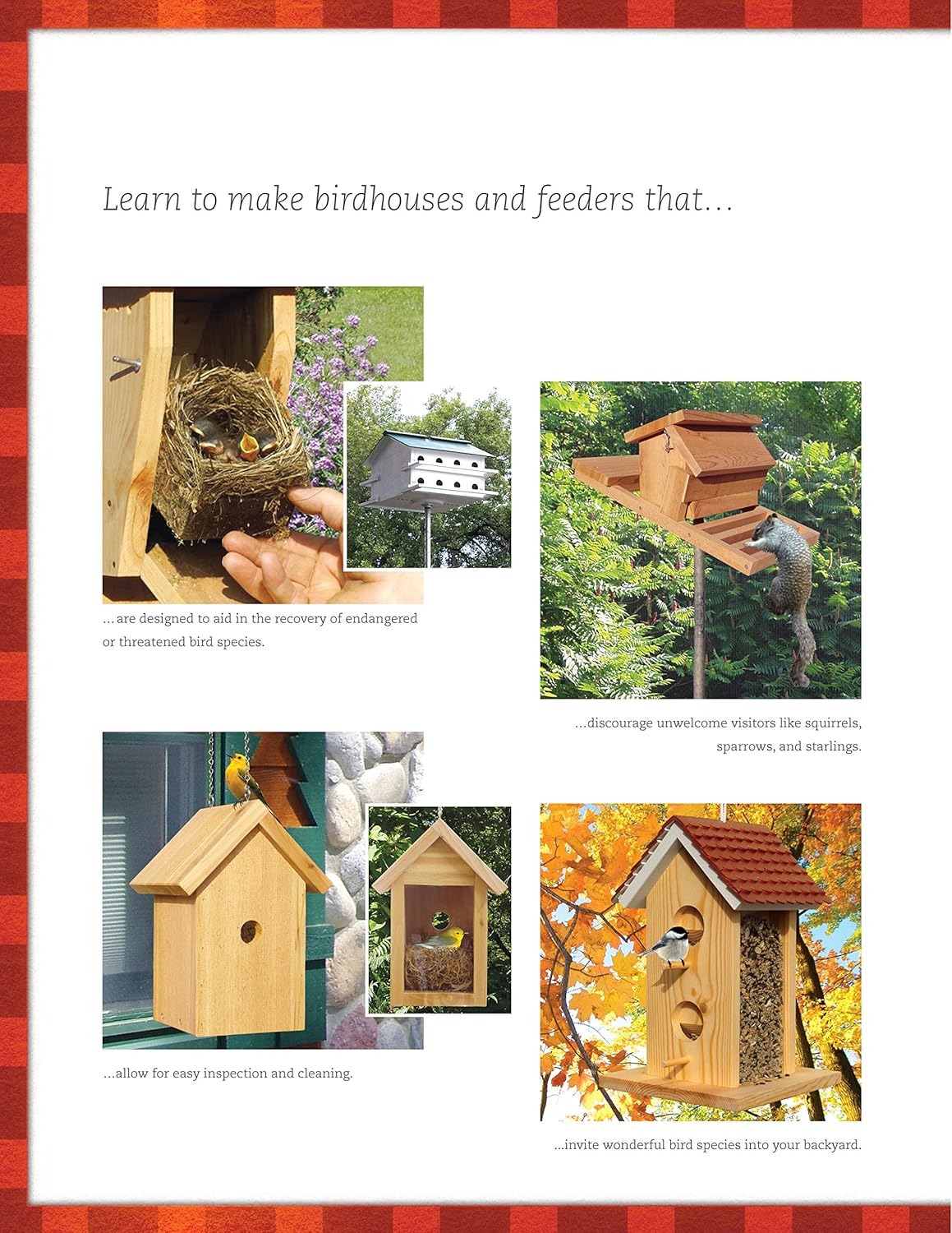 Bird-Friendly Nest Boxes & Feeders
