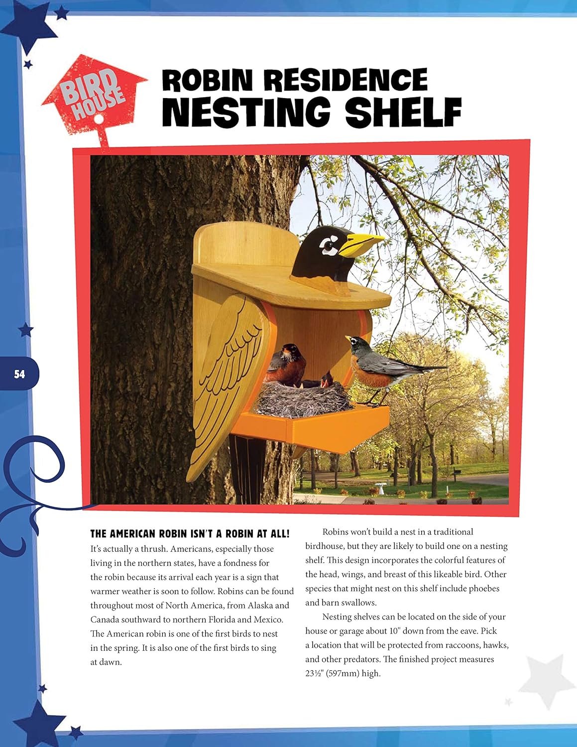 Wild & Wacky Birdhouses and Feeders