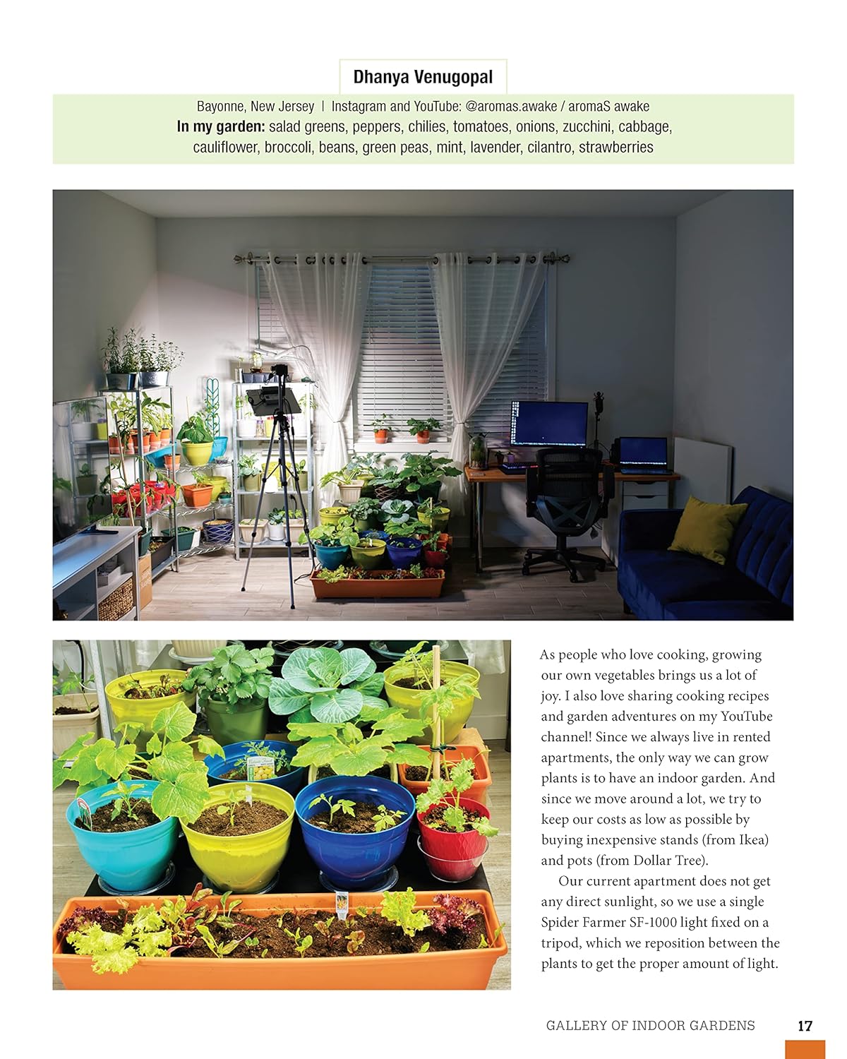 How to Garden Indoors & Grow Your Own Food Year-Round