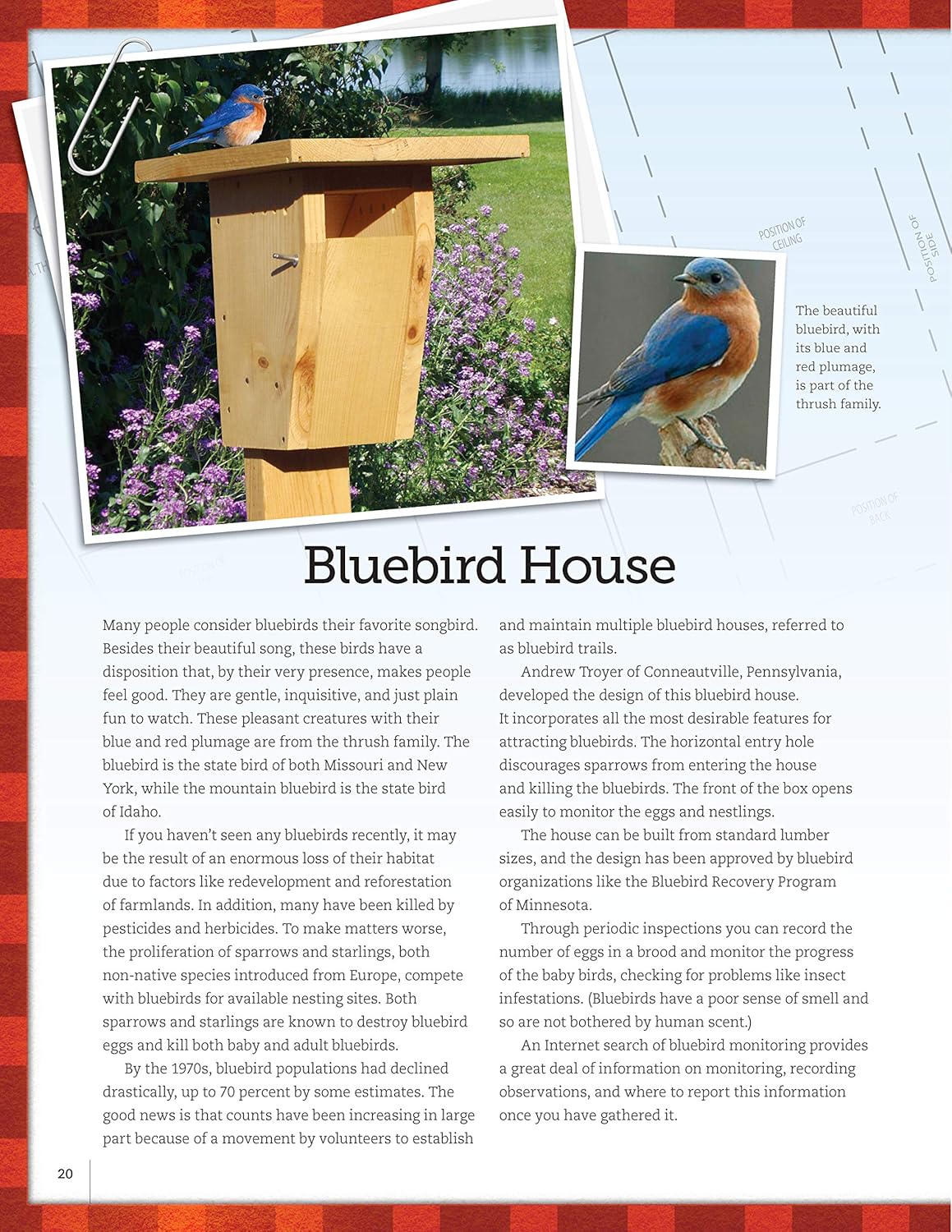 Bird-Friendly Nest Boxes & Feeders