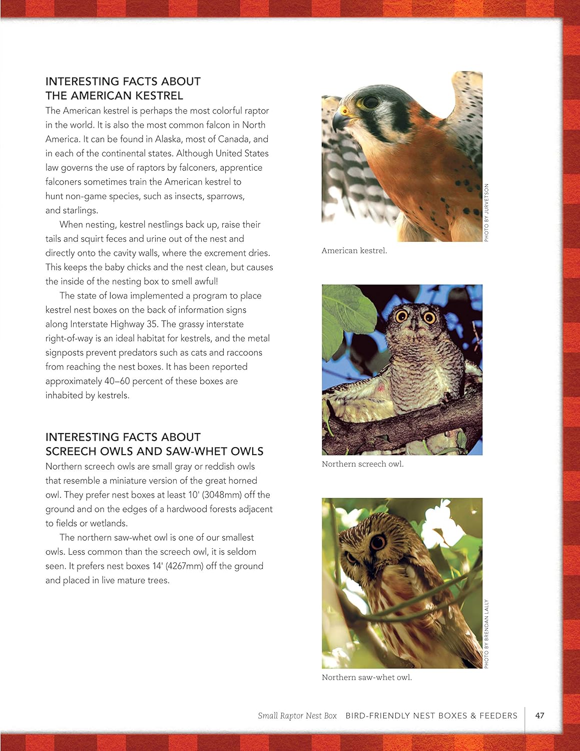 Bird-Friendly Nest Boxes & Feeders