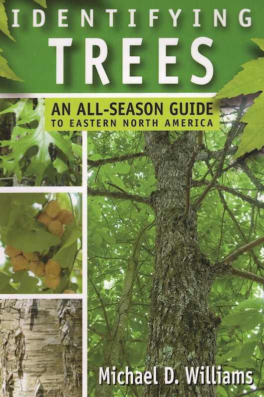 Identifying Trees: An All-Season Guide to Eastern North America