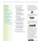 Borders The basics & beyond
