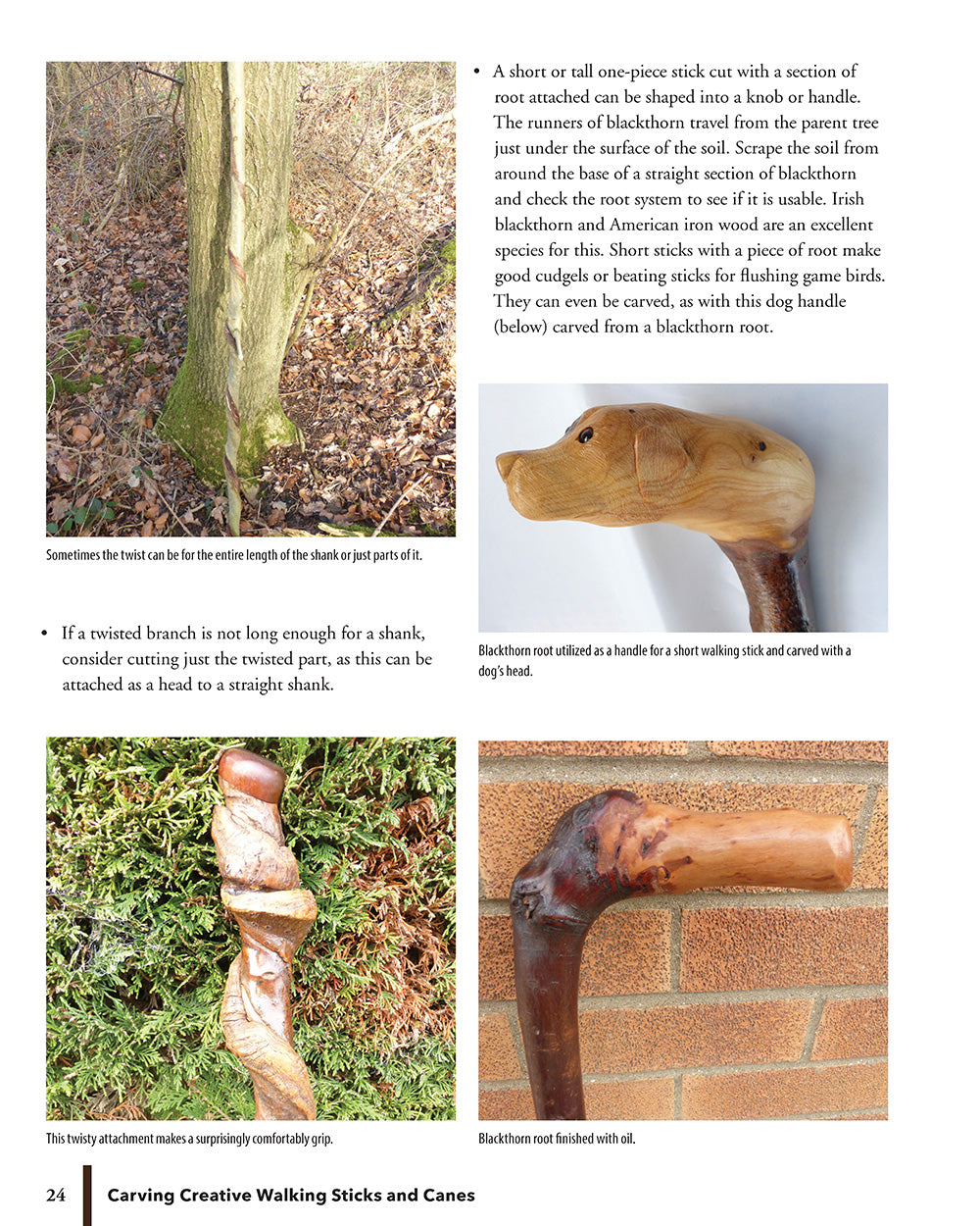 Carving Creative Walking Sticks and Canes