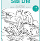 Sea Life Pattern Package (Download)