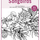 Songbirds Pattern Package (Download)