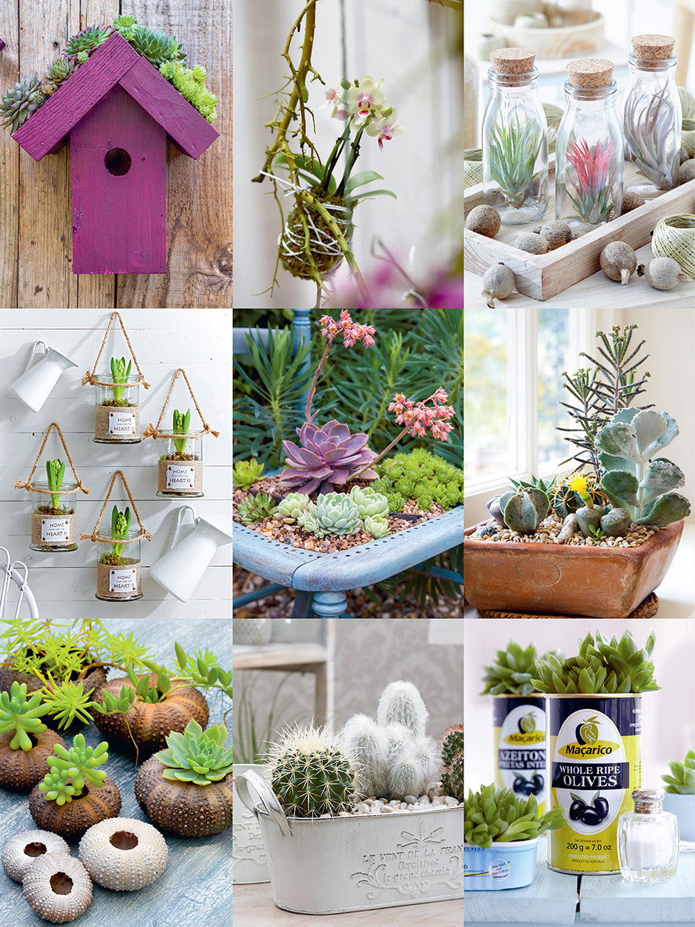 Creating Serene Indoor Spaces with Miniature Gardens Creating Serene Indoor Spaces with Miniature Gardens