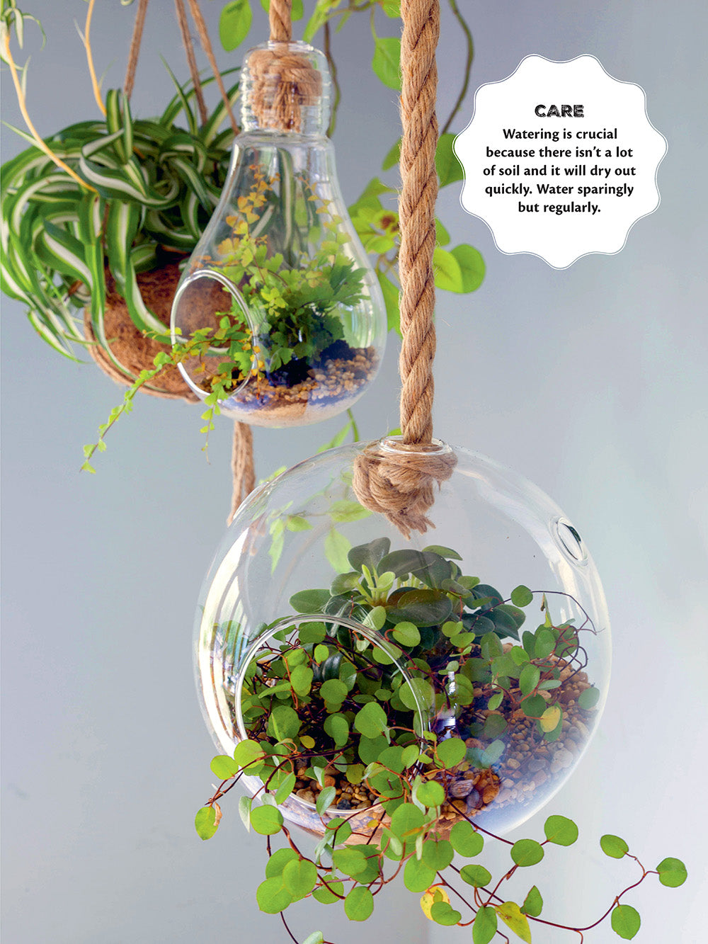 Indoor miniature garden design inspiration