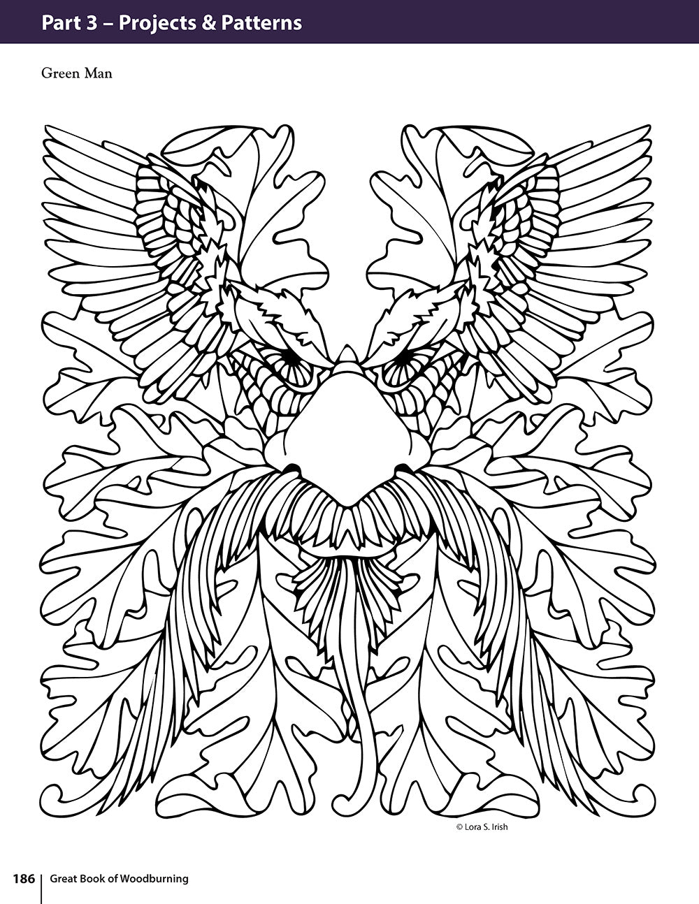 Great Book of Woodburning, Revised and Expanded Second Edition - Fox Chapel Publishing Co.