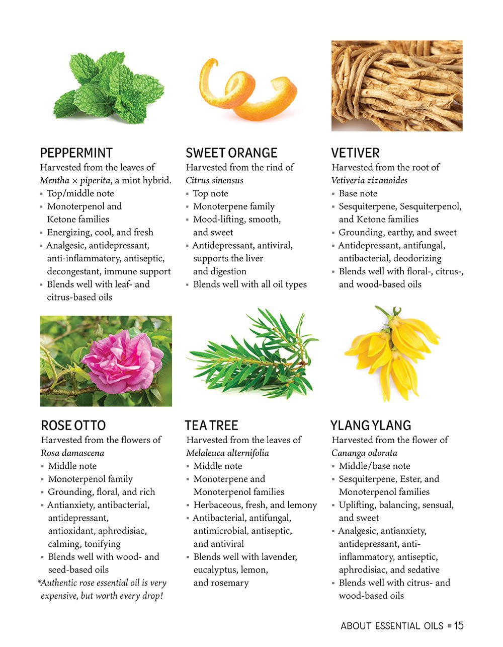 Essential Oil Recipes for Home and Body Care