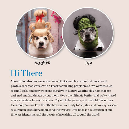 Fox Chapel Publishing Fox Chapel Publishing Co