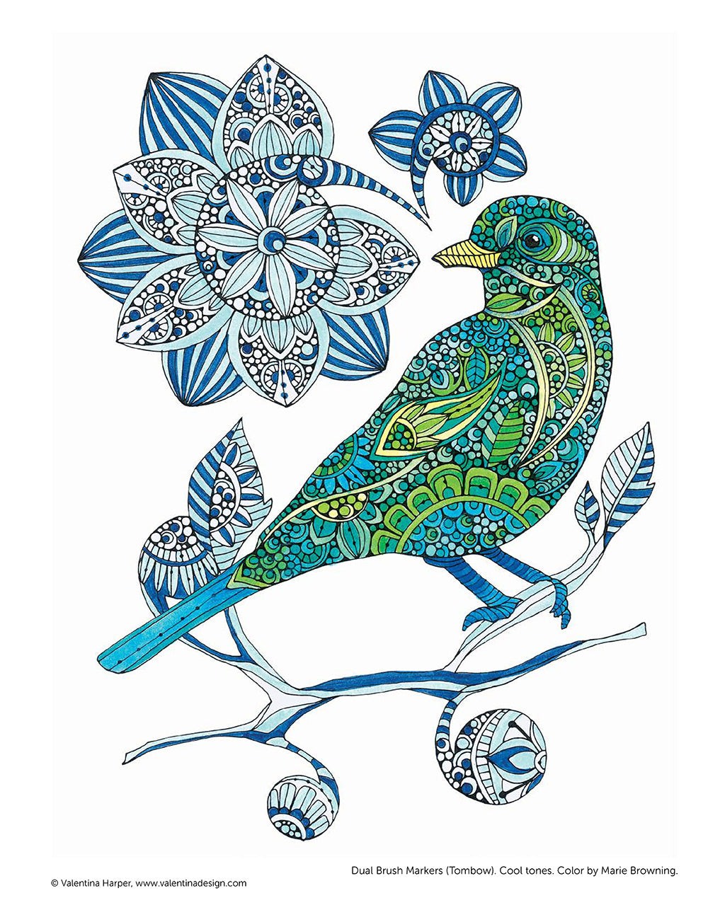 Creative Coloring Birds