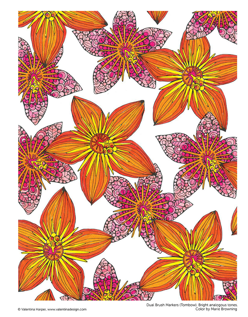 Creative Coloring Patterns of Nature - Fox Chapel Publishing Co.
