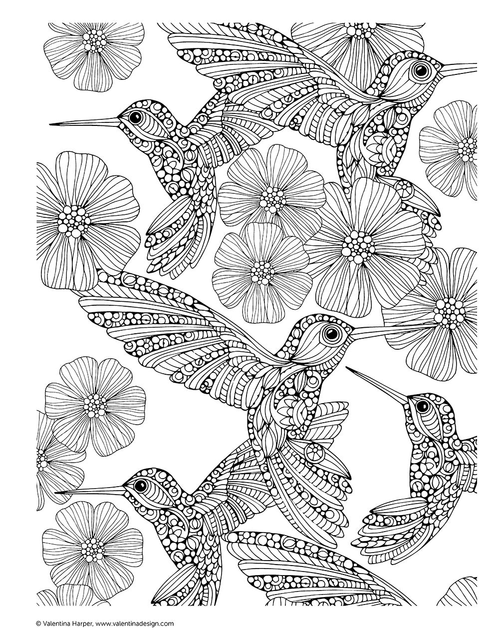 Creative Coloring Patterns of Nature - Fox Chapel Publishing Co.