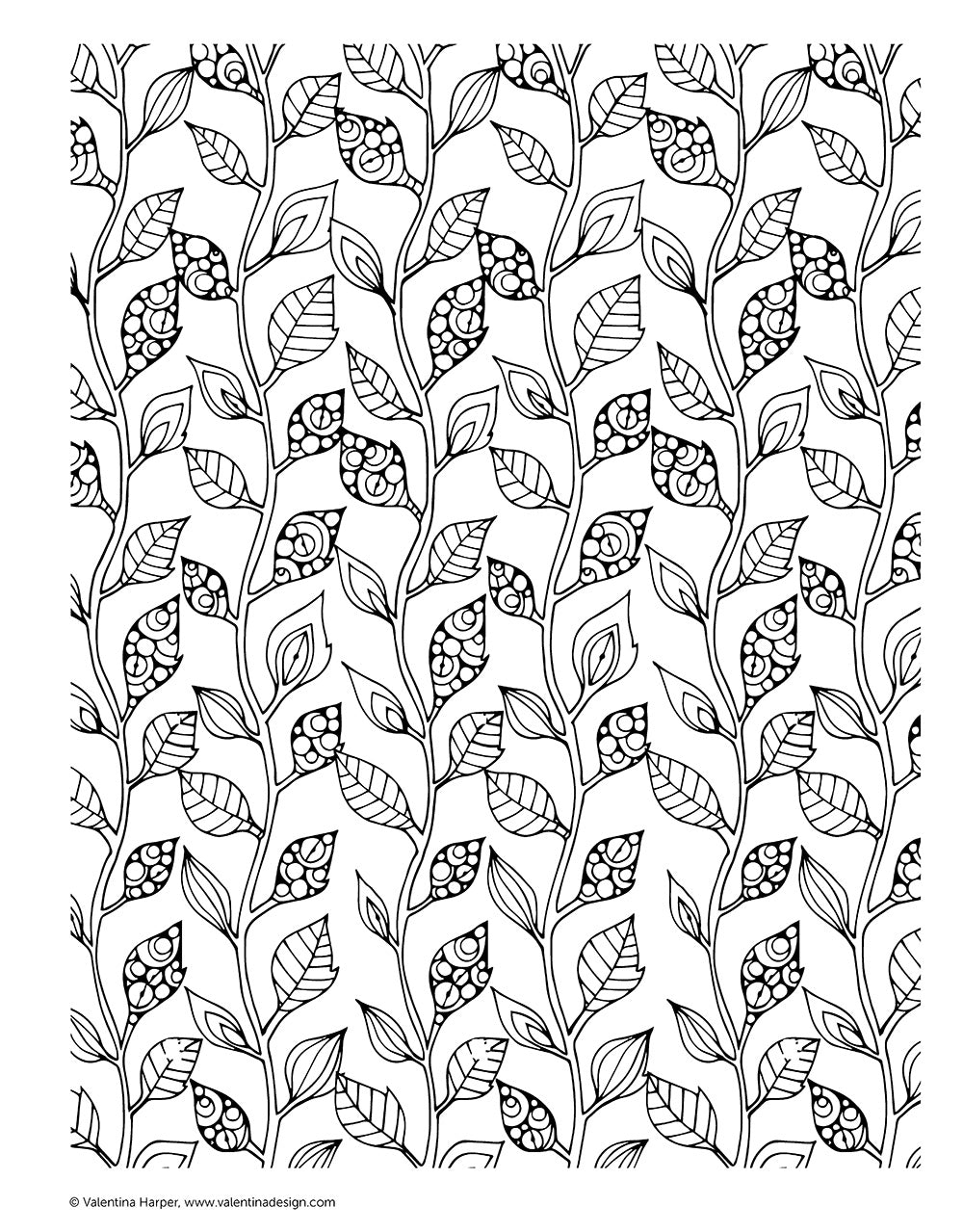 Creative Coloring Patterns of Nature - Fox Chapel Publishing Co.