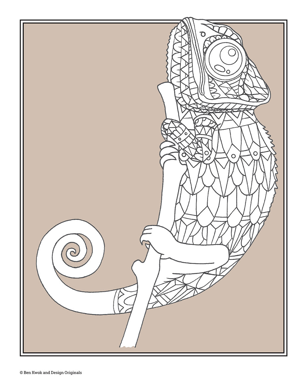 Color This! Birds & Animals Coloring Book