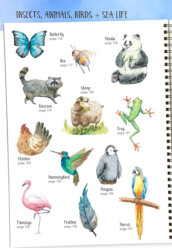 Watercolor Success in Four Steps