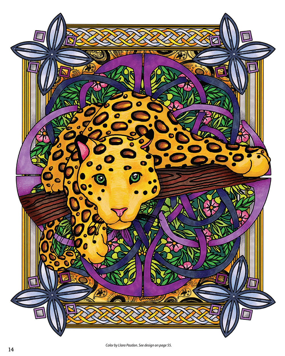 Reflections: Birds and Animals Coloring Book - Fox Chapel Publishing Co.