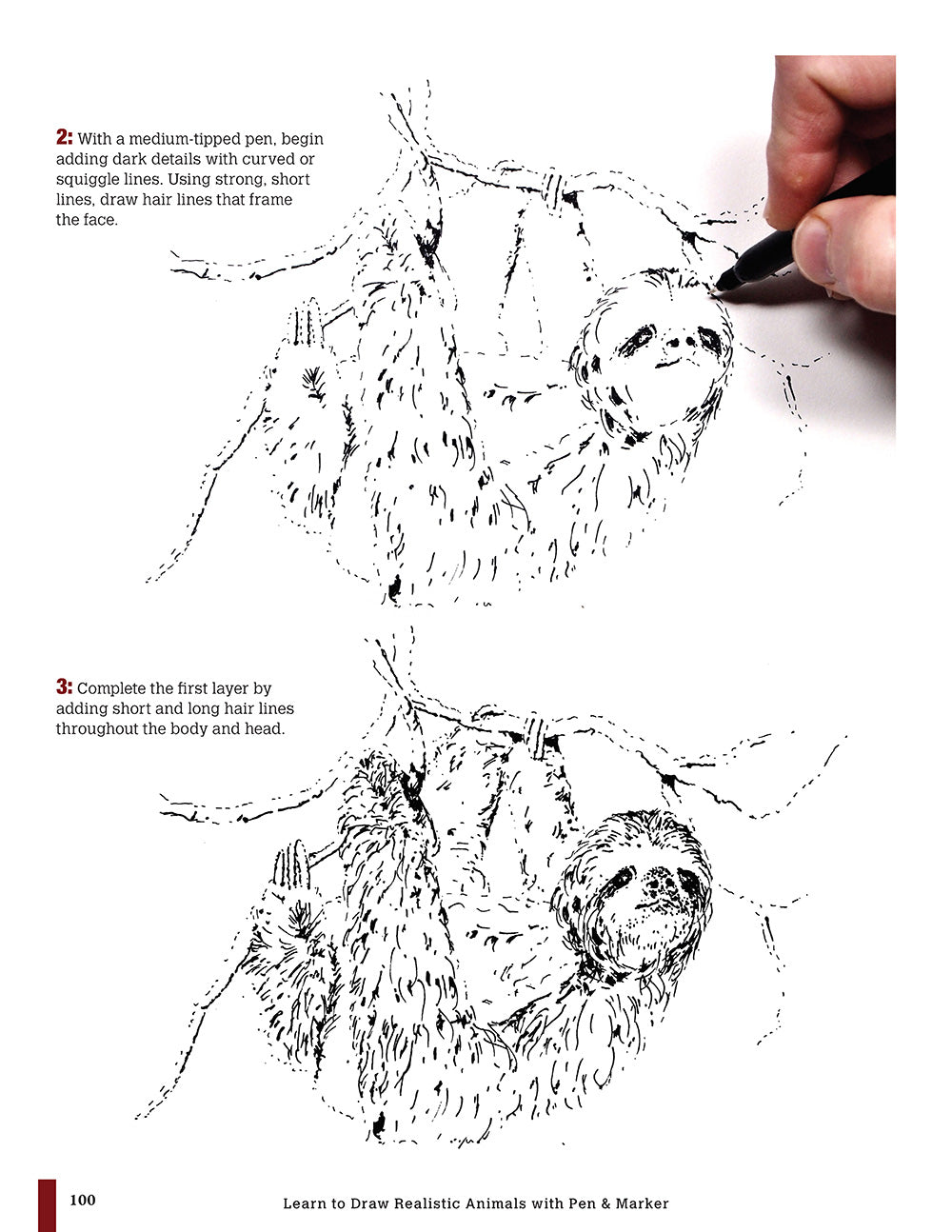 Shirish Deshpande: Drawing Animal Portraits In Pen And Ink Bei