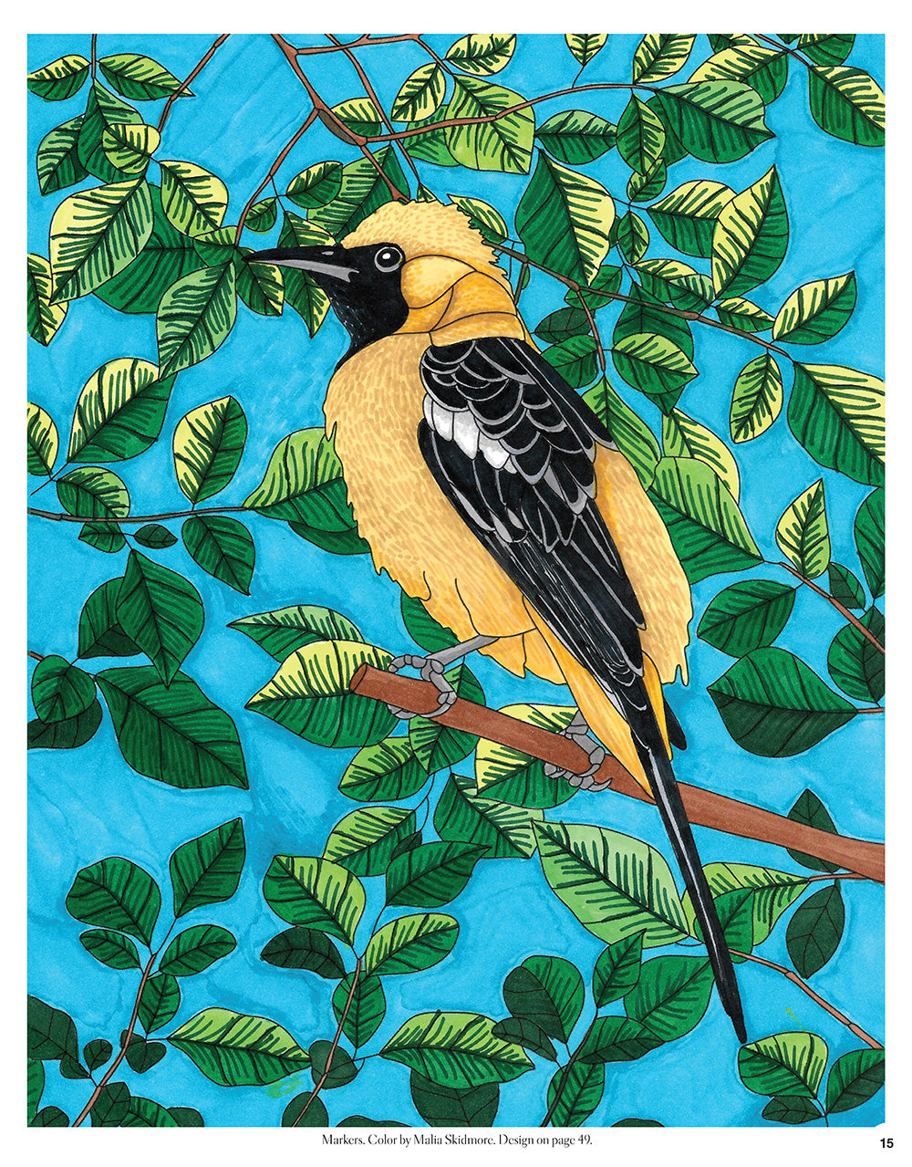 Birds, Butterflies, and Bees - Fox Chapel Publishing Co.