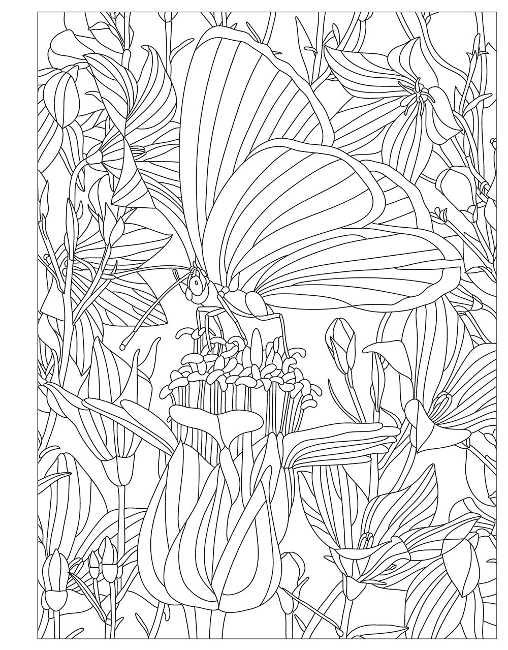 Birds, Butterflies, and Bees - Fox Chapel Publishing Co.