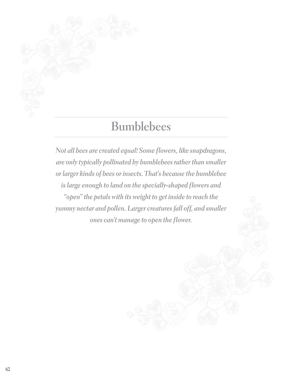 Birds, Butterflies, and Bees - Fox Chapel Publishing Co.