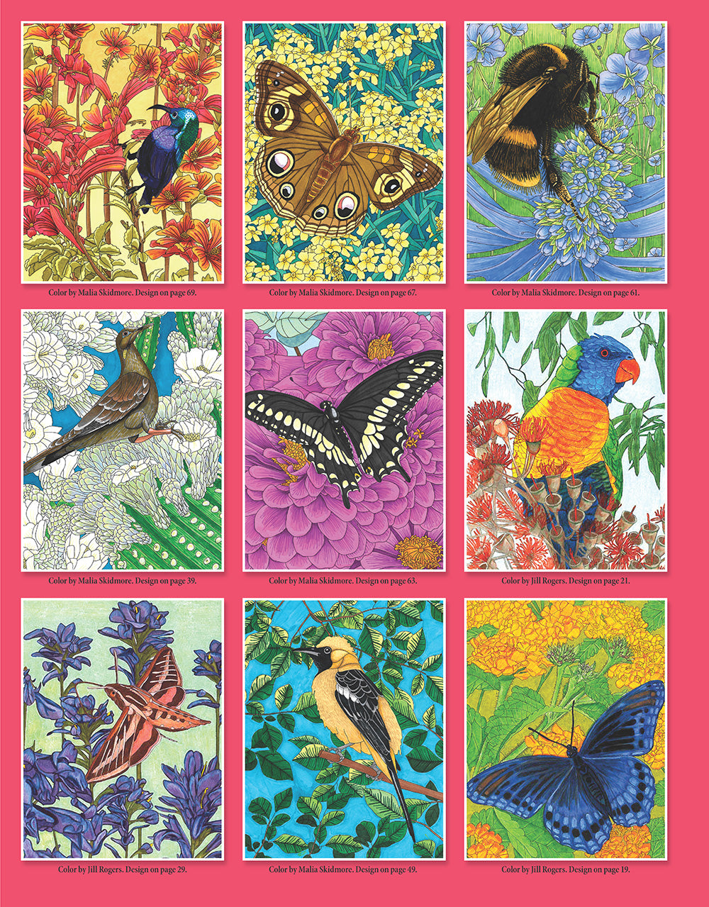 Birds, Butterflies, and Bees - Fox Chapel Publishing Co.