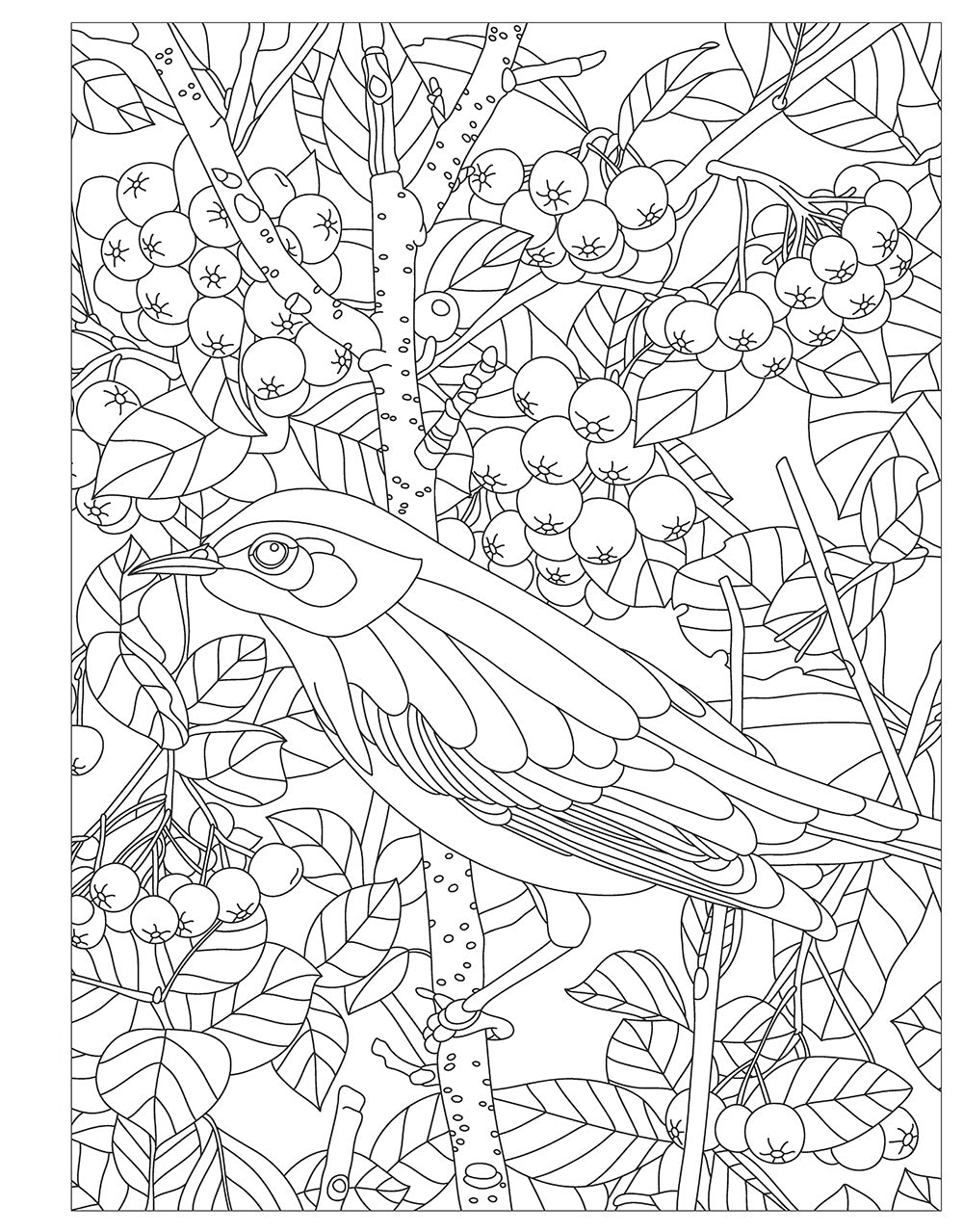 Birds, Butterflies, and Bees - Fox Chapel Publishing Co.