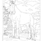 Horses Coloring Book