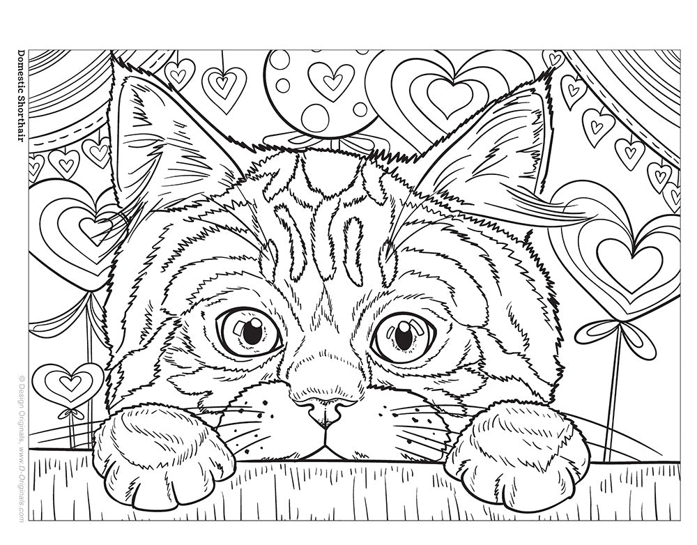 Cats & Kittens Coloring Book