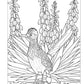 Birds at Home Coloring Book (Revised Edition)