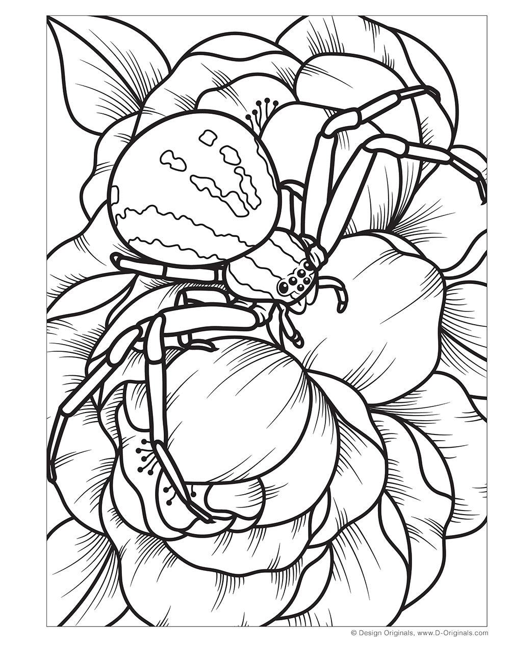 Super Cool Bugs and Spiders Coloring Book