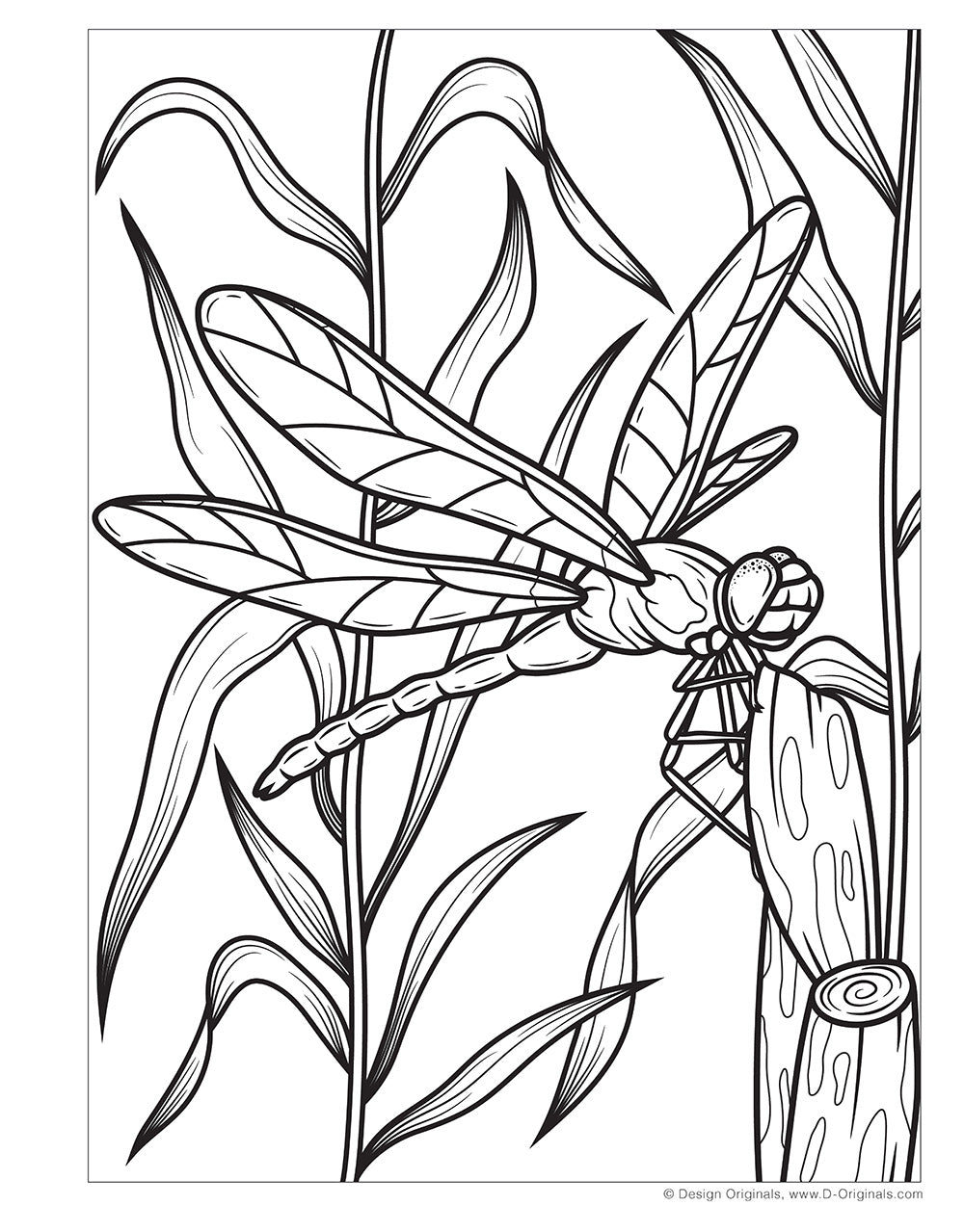 Super Cool Bugs and Spiders Coloring Book